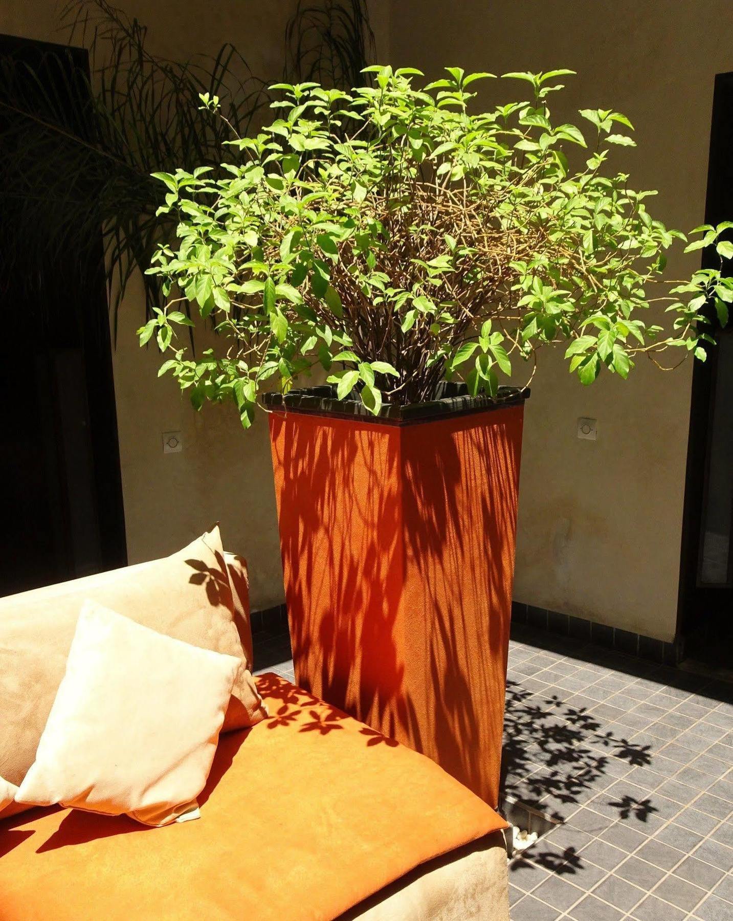 Riad Pierres Et Saveurs Soleil Маракеш Екстериор снимка
