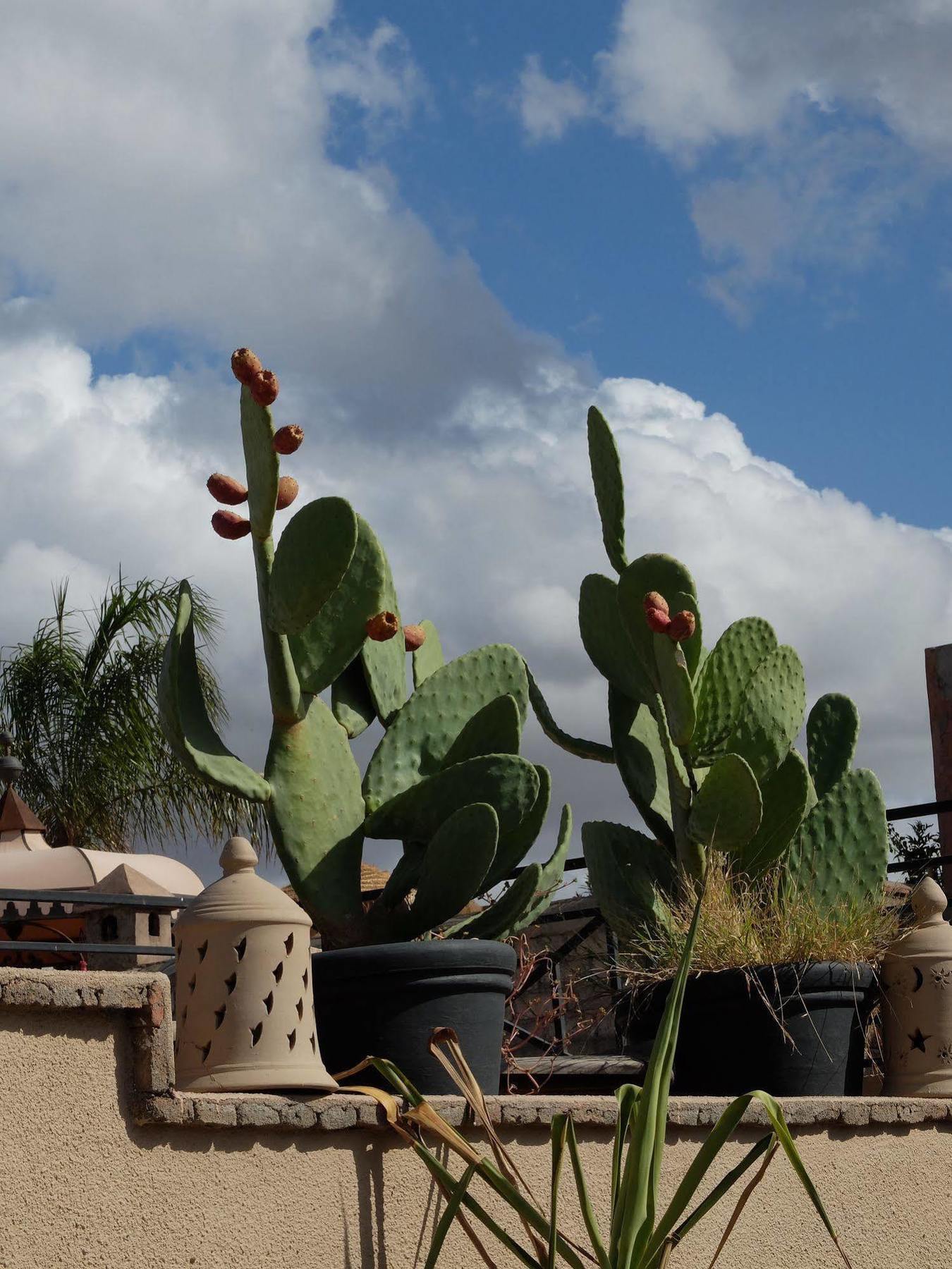Riad Pierres Et Saveurs Soleil Маракеш Екстериор снимка